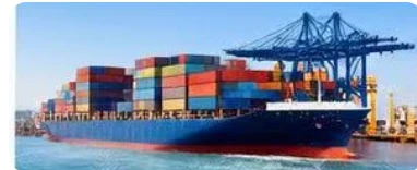 Importers & Trading Companies
